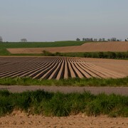 F6_RLHV_landschapsbeeld